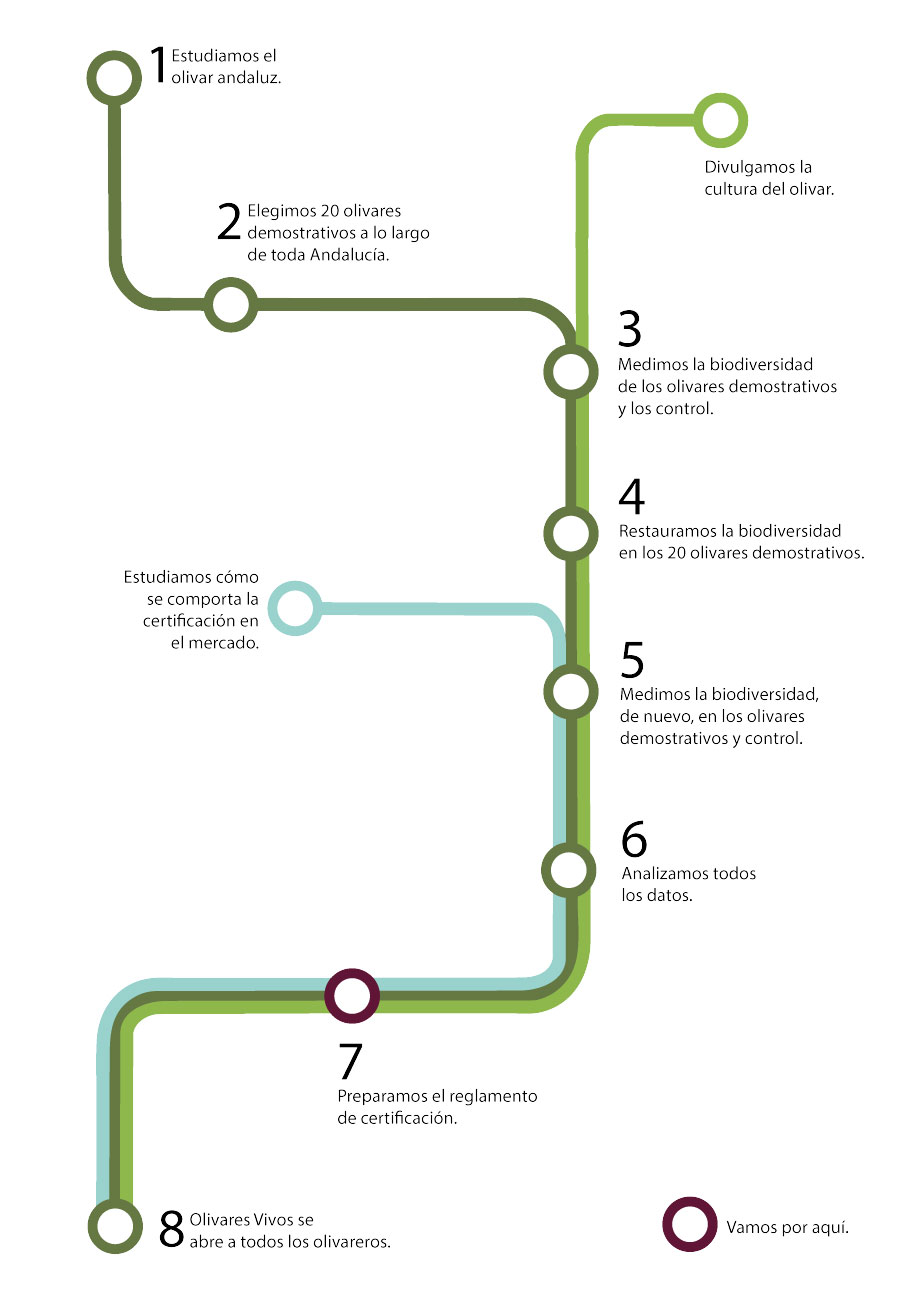 https://olivaresvivos.com/