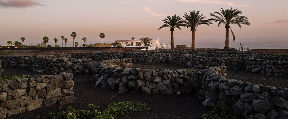 Foto: Restaurante César Lanzarote
