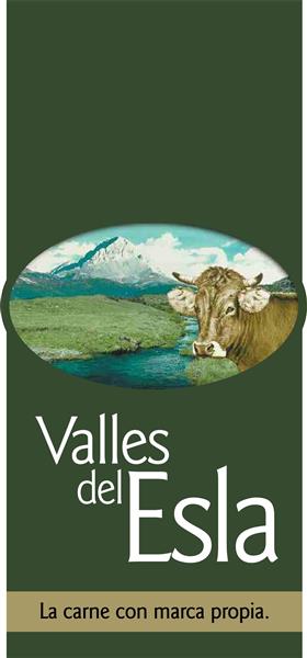 VALLES DEL ESLA