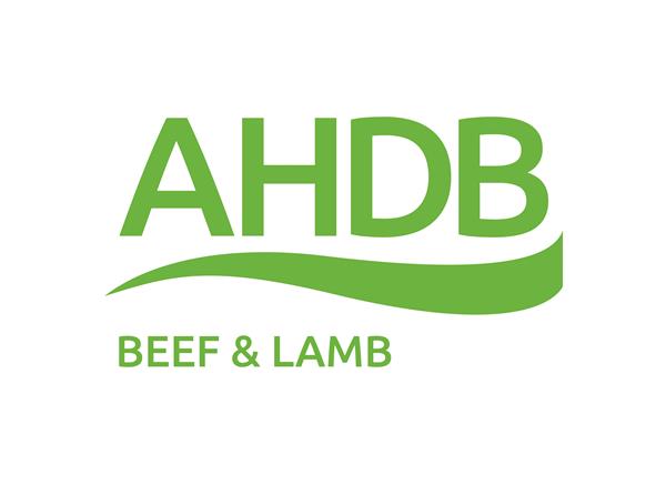 AHDB BEEF & LAMB