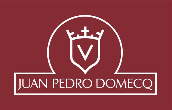 JUAN PEDRO DOMECQ SOLÍS 