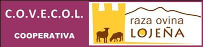 C O V E C O L  Cooperativa