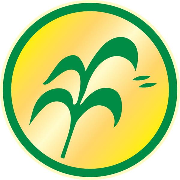 J.P RICE INTERNATIONAL (1998) CO., LTD.