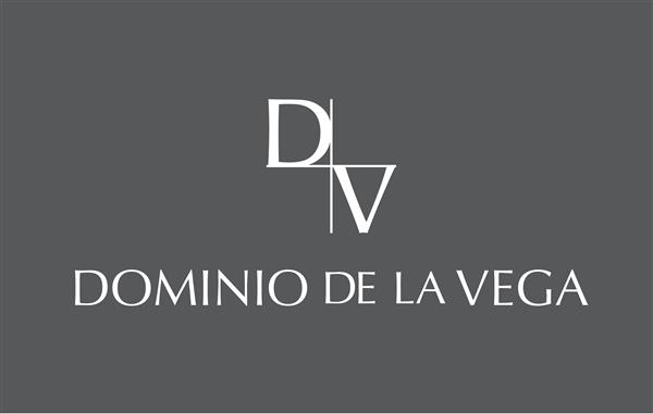 DOMINIO DE LA VEGA