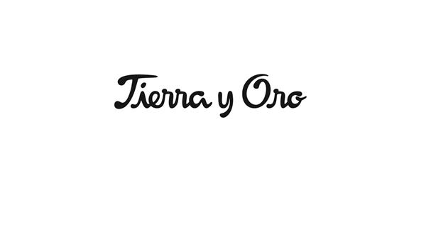 TIERRA Y ORO S.A.