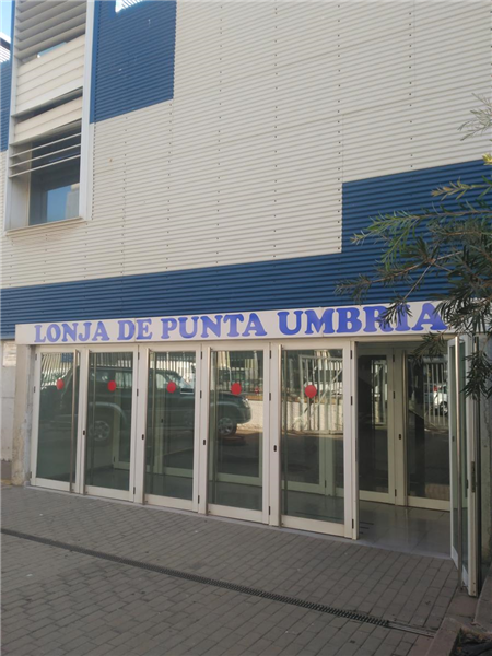 LONJA DE PUNTA UMBRÍA