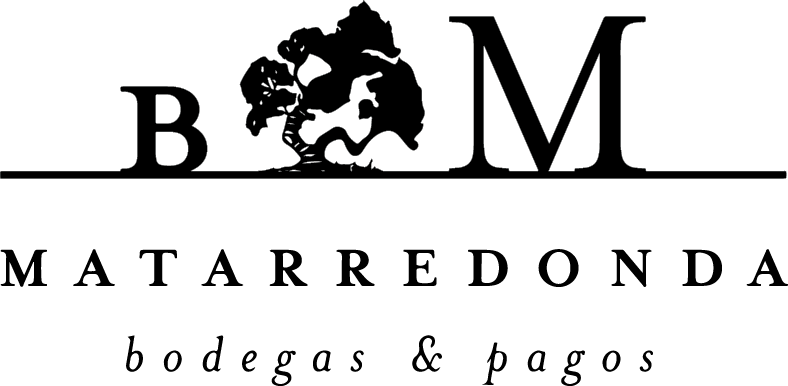 BODEGAS Y PAGOS MATARREDONDA S.L