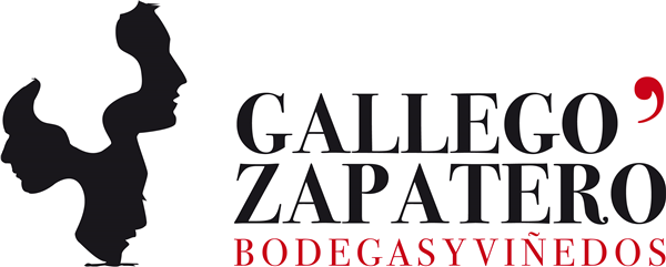 BODEGAS Y VIÑEDOS GALLEGO ZAPATERO S.L.