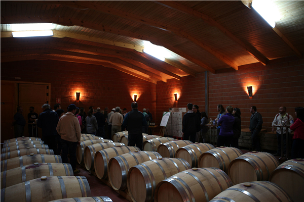 COOPERATIVA VINICOLA AGRARIA SAN ISIDRO