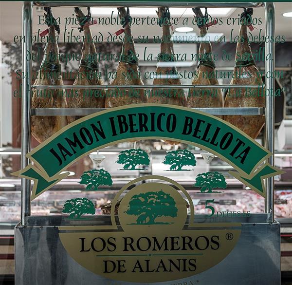 LOS ROMEROS DE ALANIS