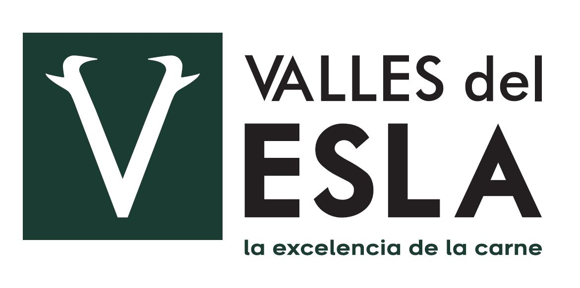 VALLES DEL ESLA