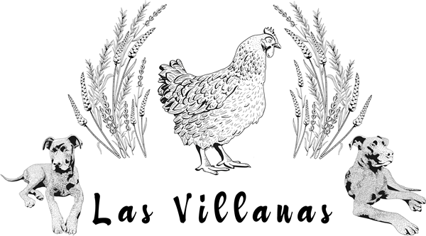 GRANJA LAS VILLANAS