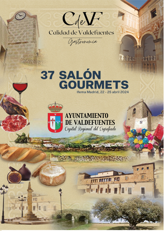 AYUNTAMIENTO DE VALDEFUENTES