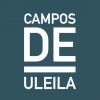 ACEITES CAMPOS DE ULEILA