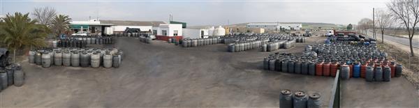 ACEITUNAS SEVILLANAS DOLORES DOMINGUEZ BRENES(EL VERDEO)