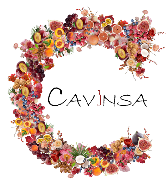CAVINSA SL