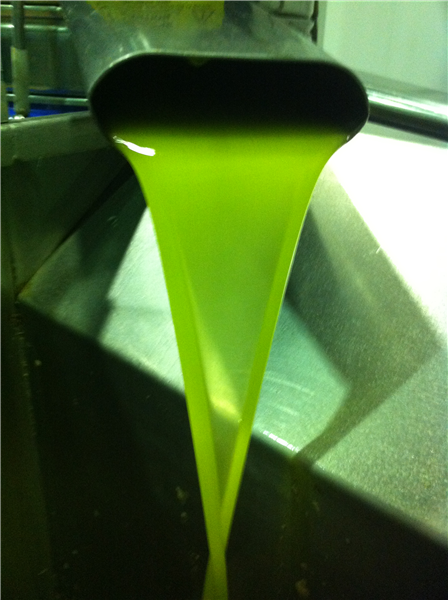 MELGAREJO ACEITES CAMPOLIVA