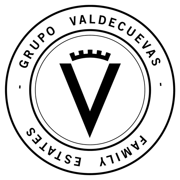 GRUPO VALDECUEVAS