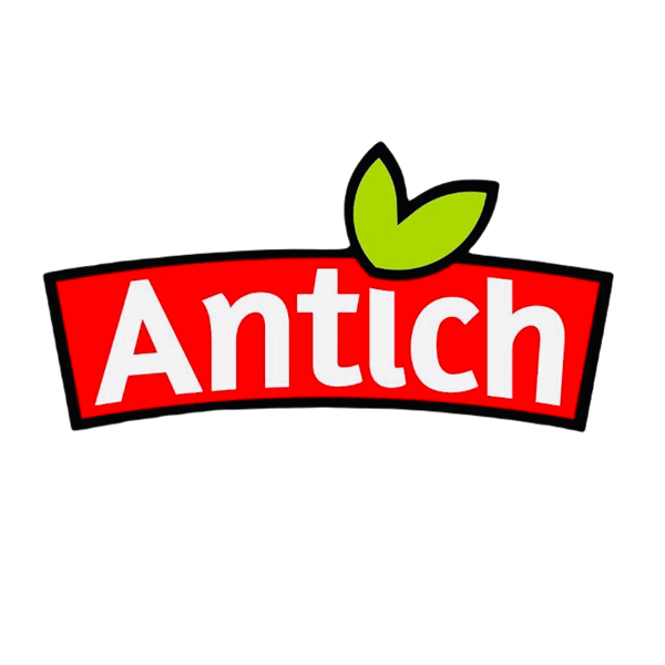 ANTICH 1935