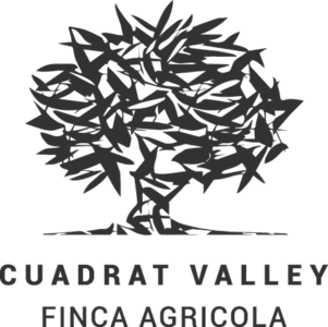 CUADRAT VALLEY