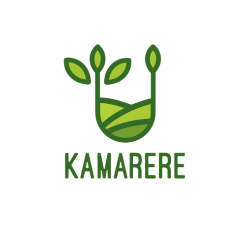 KAMARERE