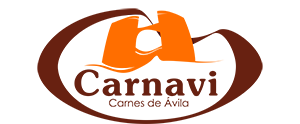CARNAVI