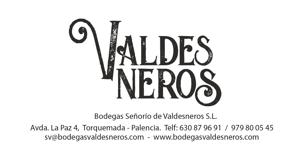 SEÑORIO DE VALDESNEROS