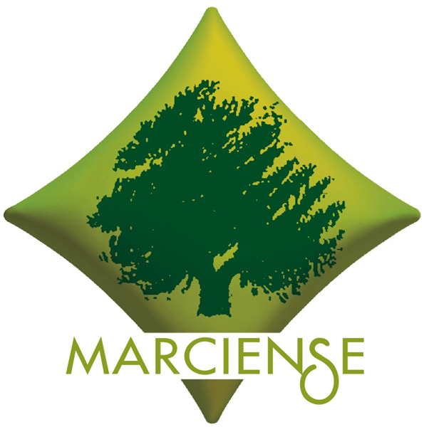 Industria Aceitunera Marciense