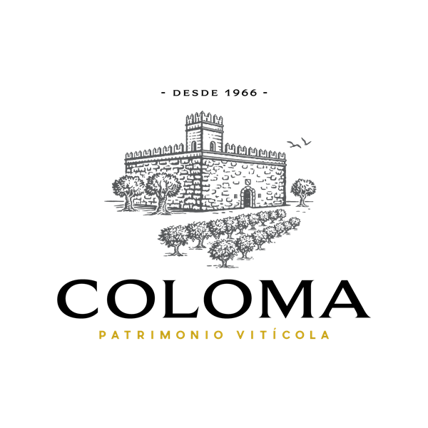 COLOMA  VIÑEDOS Y BODEGAS