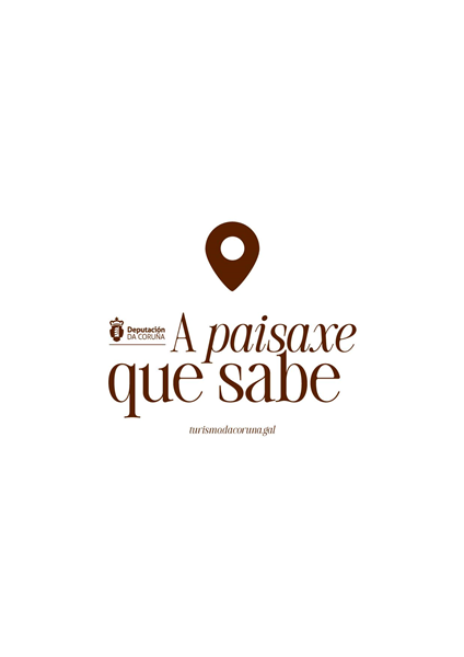 DEPUTACION DA CORUÑA