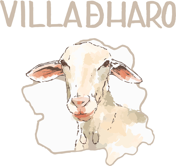 QUESERIA VILLADHARO