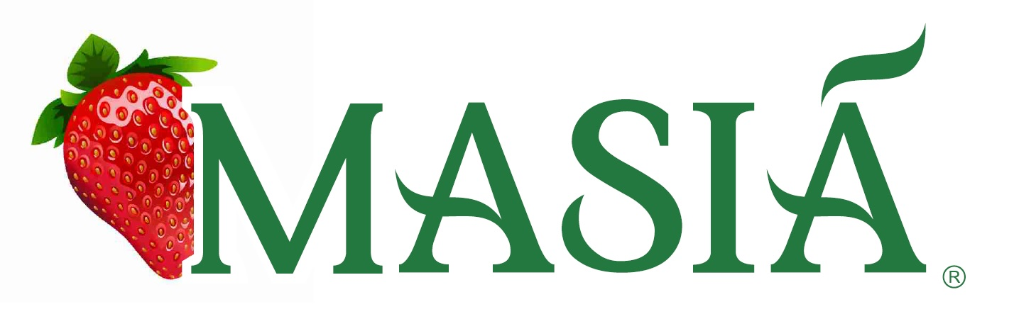 MASiÁ CISCAR