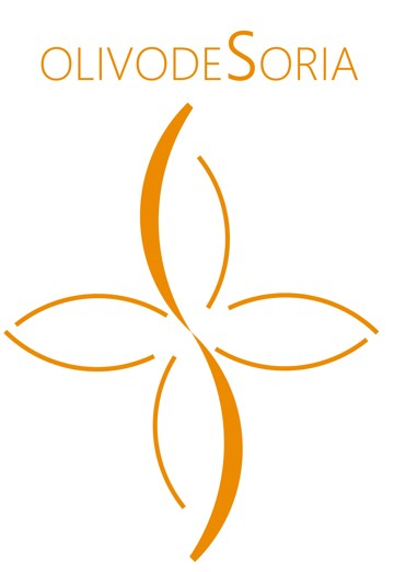 OLIVO DE SORIA
