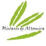 OLIVARES DE ALTOMIRA