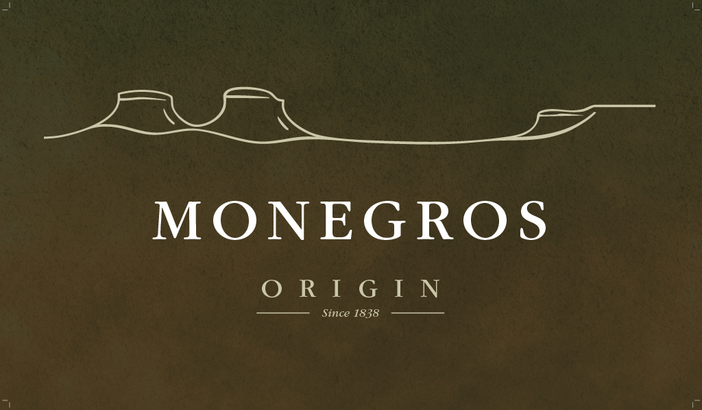 ACEITES MONEGROS