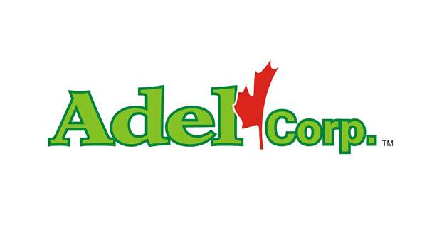 ADEL CORP