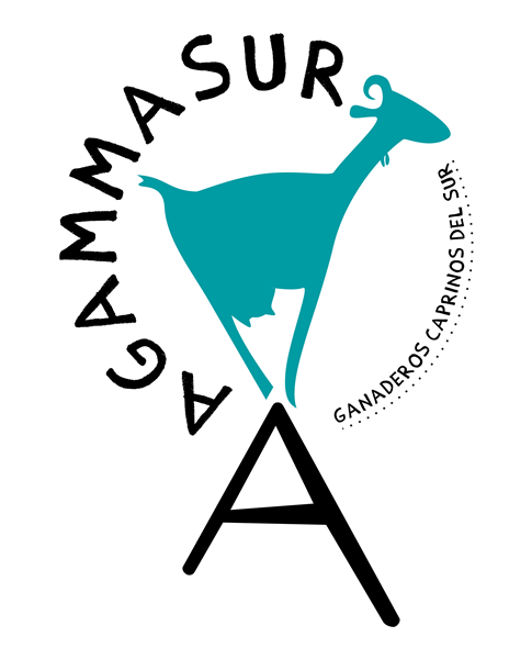 AGAMMASUR S.C.A.