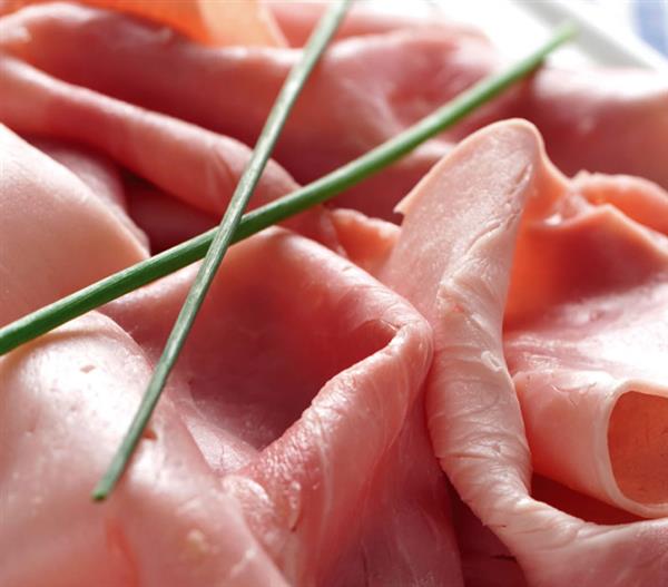 Presentación de nuevos productos Erre de Vic 1952