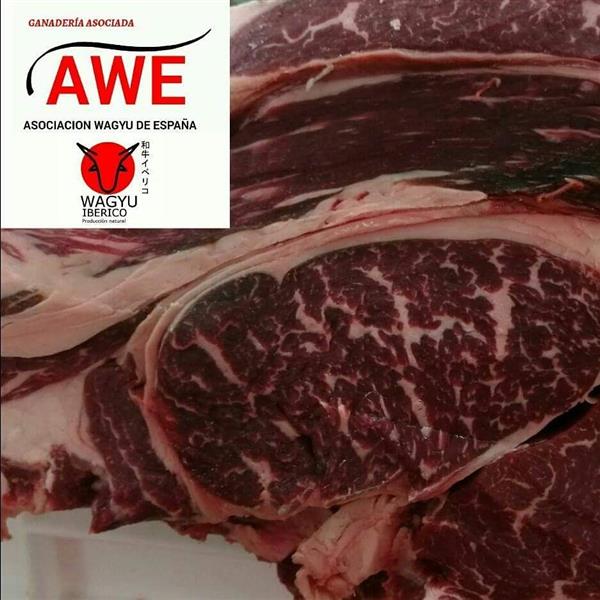 EL WAGYU EXTREMEÑO ASALTA EL SALÓN GOURMETS 2016