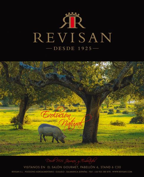 Nuevo logo REVISAN