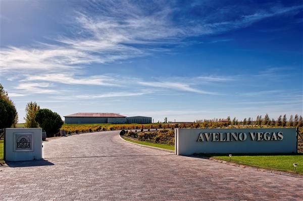 LOS MEJORES VINOS DE LAS D.O.  RUEDA Y RIBERA DEL DUERO  EN EL CONCURSO MUNDUS VINI 2017, SON DE AVELINO VEGAS