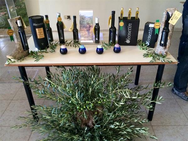 La aceituna manzanilla cacereña, protagonista en el IV Encontro Ibérico de Azeite de Abrantes (Portugal)