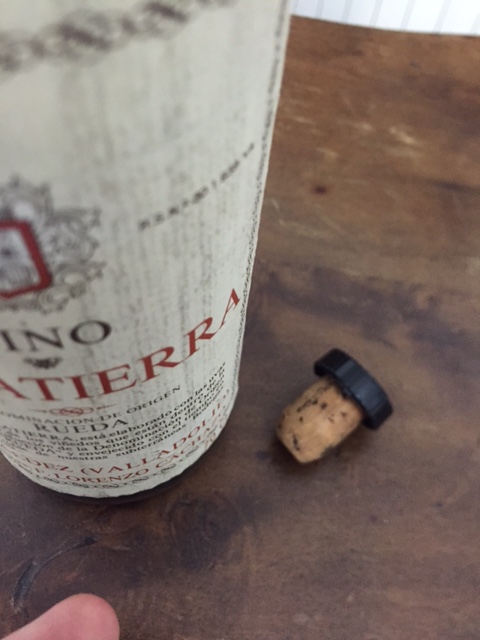 Presentación nuevo vino Carrasviñas Dorado Rueda