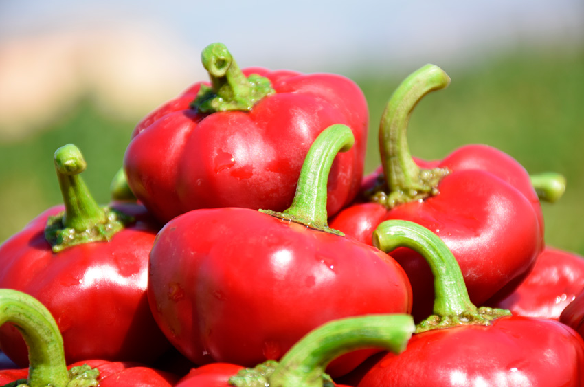 Beneficios del pimentón para la salud: el licopeno