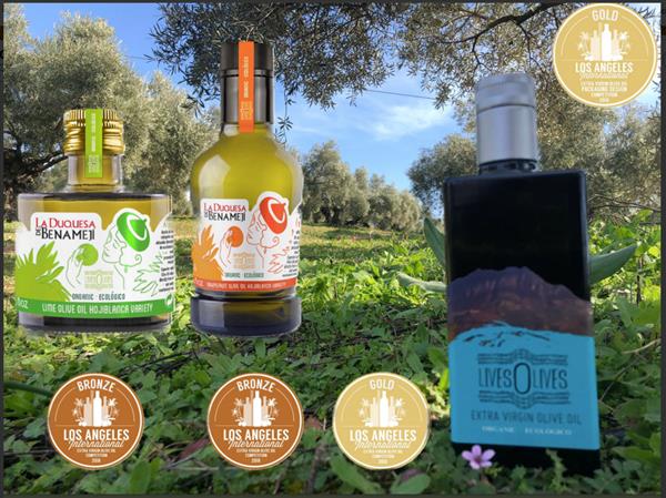 LivesOlives: Los Angeles International Extra Virgin Olive Oil Competition 2019
