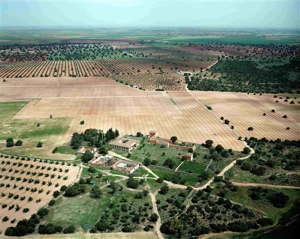 El AOVE CASA HIERRO, UN AÑO MÁS EN EL GOURMET