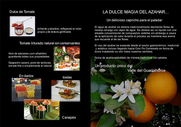 Presentación nuevo producto