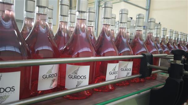  GURDOS PRIMER ROSADO 2019 DE LA DO LEÓN 
