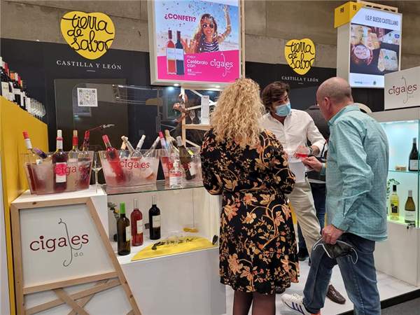 La DO Cigales presenta una amplia gama de rosados y tintos en Gourmets 2022